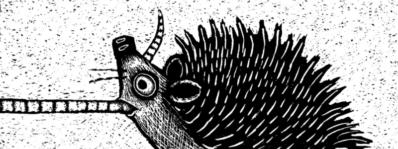 Fleur van der Weel 1_1.png