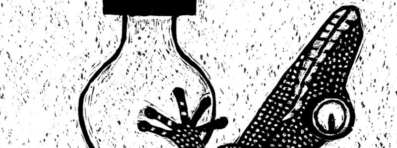 Fleur van der Weel 3_0.png