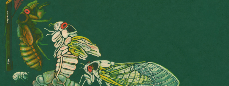 Merlijne Marell_4.png